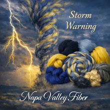 "Storm Warning" Premium Spinning Kit with a CA Sunshine Bag!