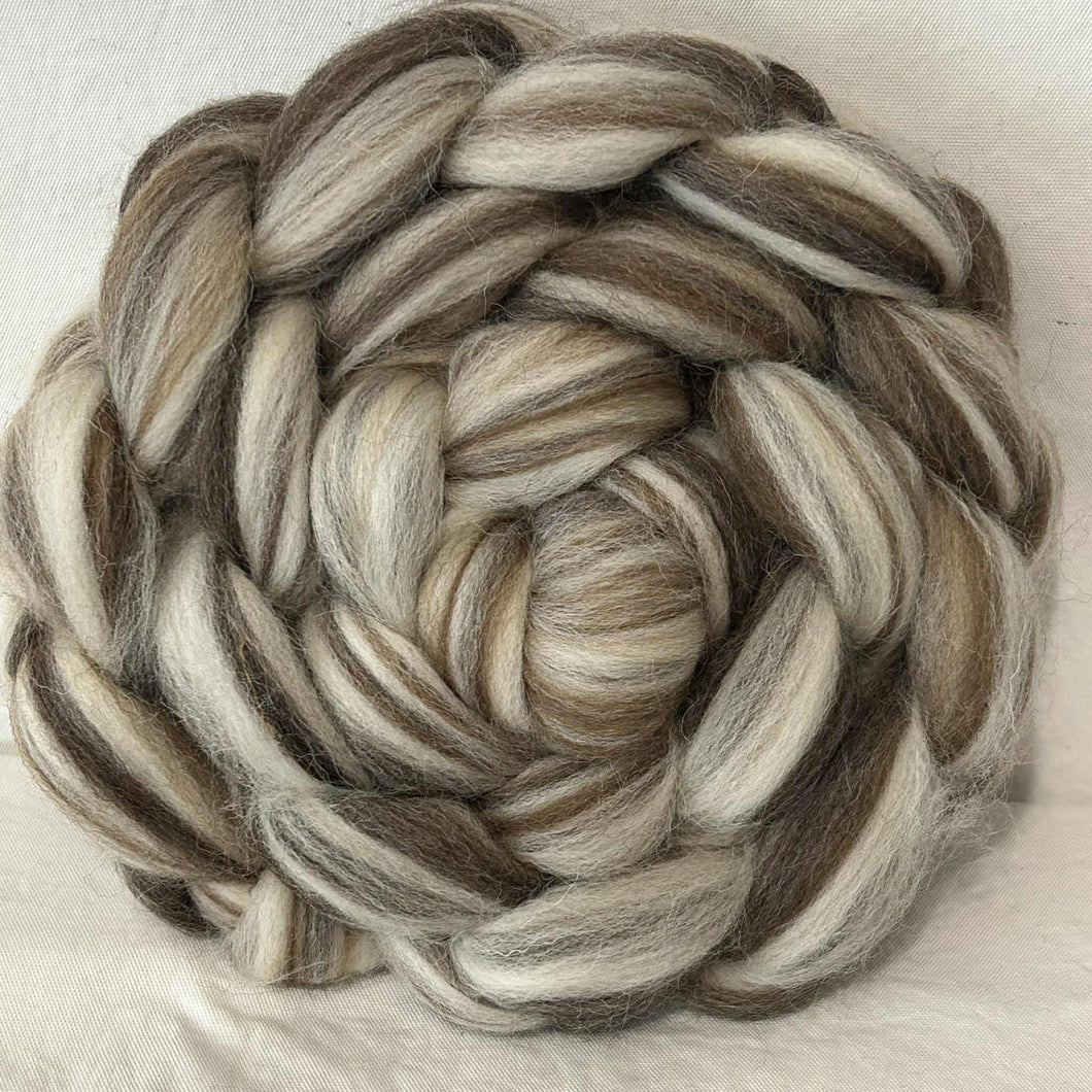 Best of British Wool Top | Natural Shetland/BFL/Manx Loaghtan Blend / 4 oz