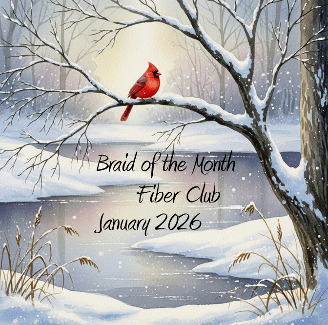 Fiber Club Braid of the Month