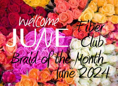 Fiber Club Braid of the Month