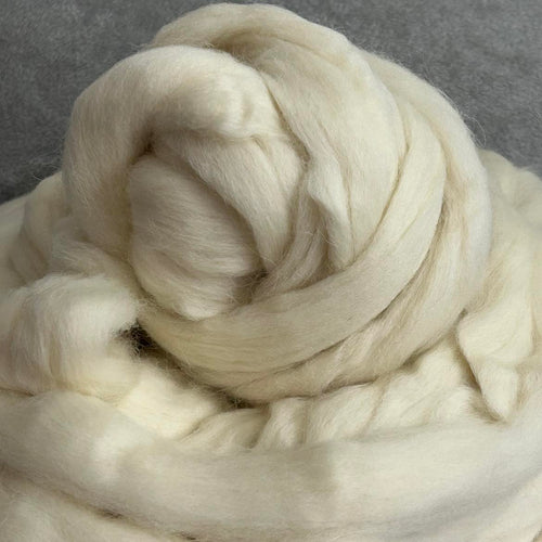 Limited Edition Brecknock Hill Cheviot Wool - Natural Spinning Fiber / 1 lb / $1 per oz!