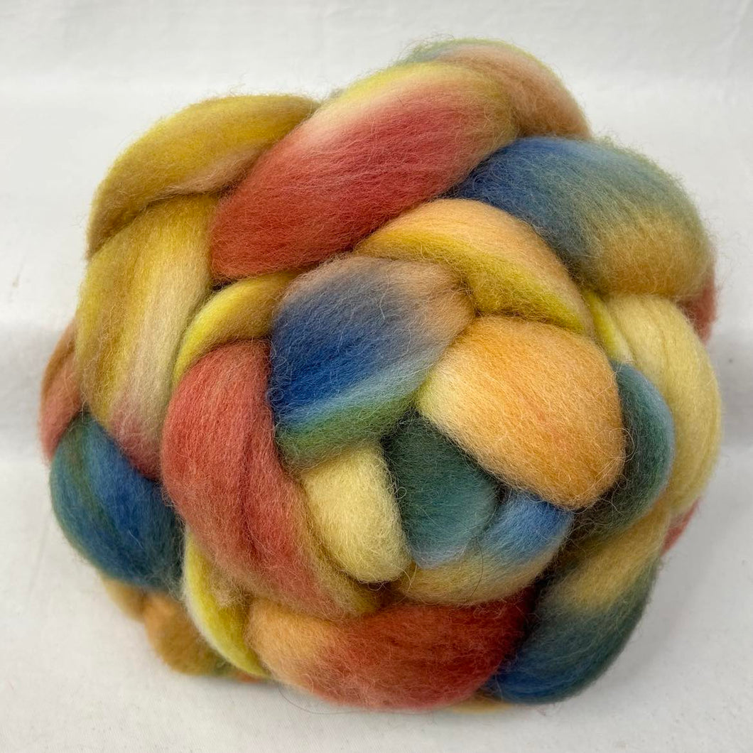 Cheviot Top Wool Braid (CT138) ~ Hand Dyed, 4 oz