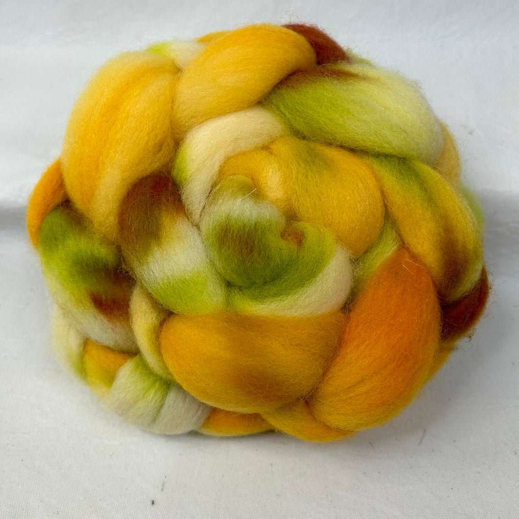 Cheviot Top Wool Braid (Ct53) ~ Hand Dyed