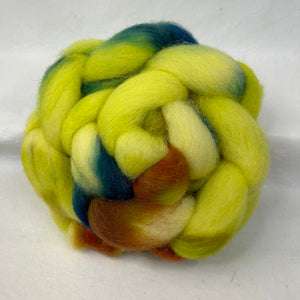 Cheviot Top Wool Braid (Ct61) ~ Hand Dyed