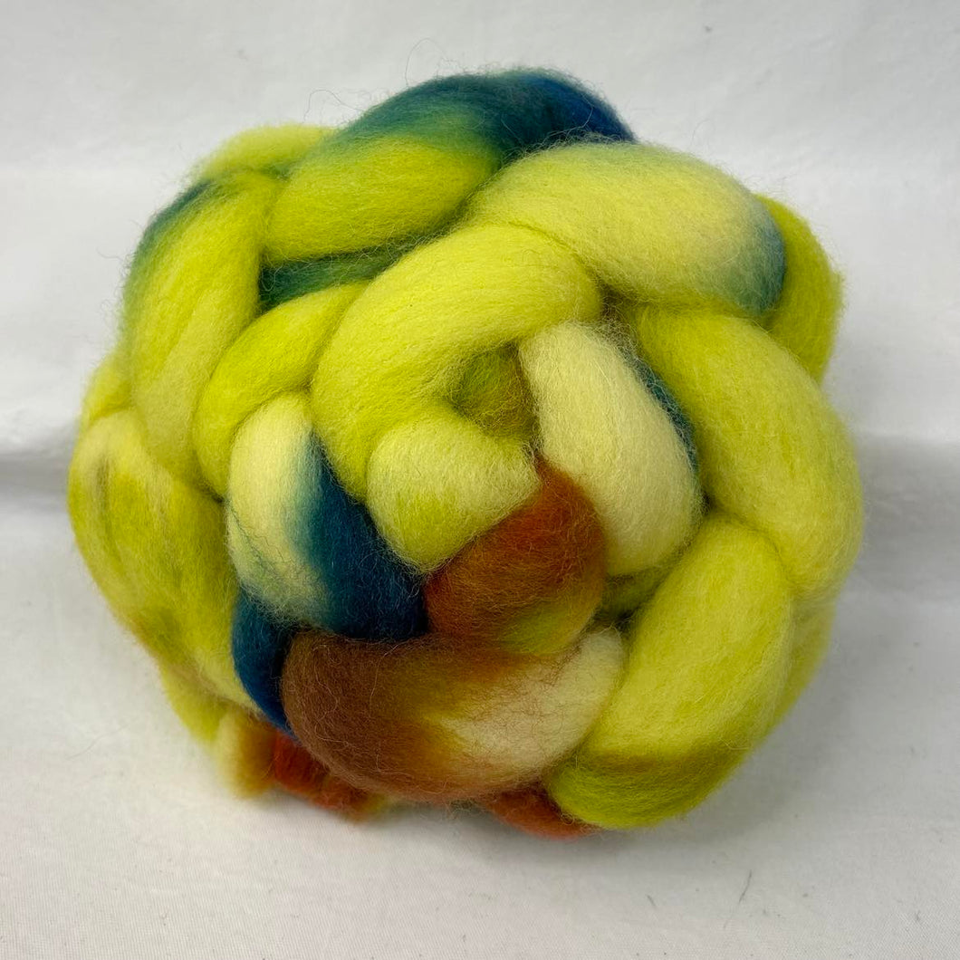 Cheviot Top Wool Braid (Ct61) ~ Hand Dyed