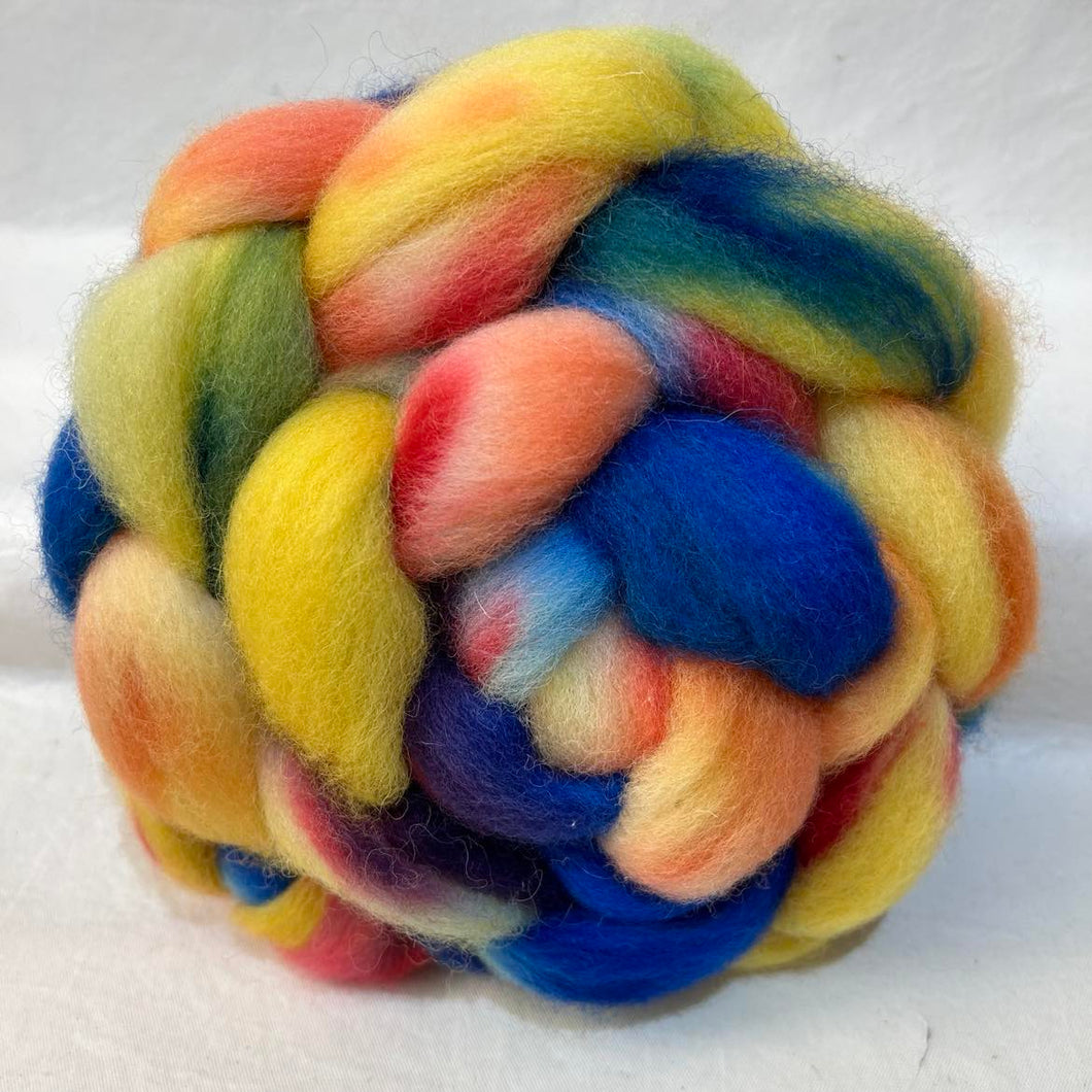 Cheviot Top Wool Braid (Ct65) ~ Hand Dyed