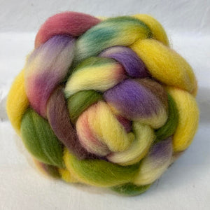 Cheviot Top Wool Braid (Ct68) ~ Hand Dyed
