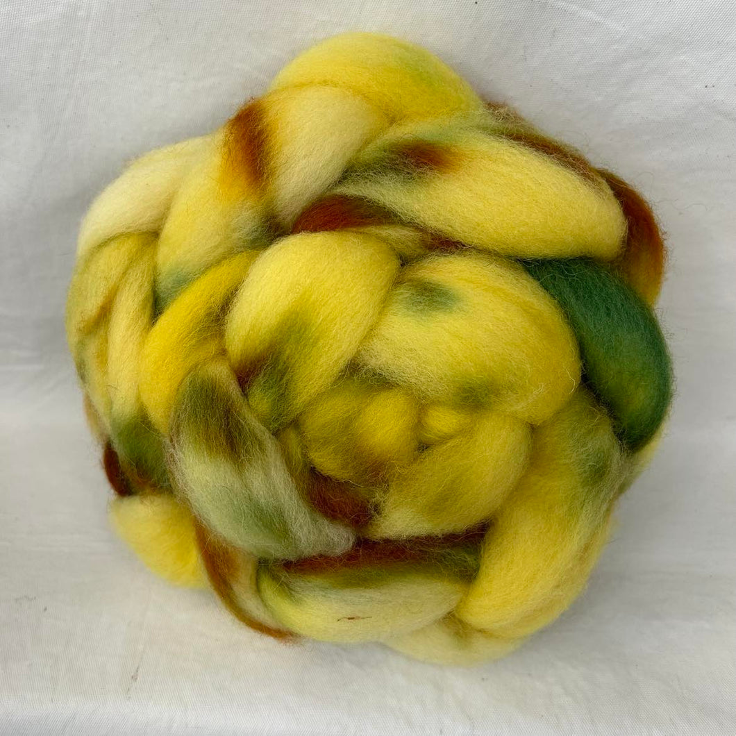 Cheviot Top Wool Braid (CT86) ~ Hand Dyed