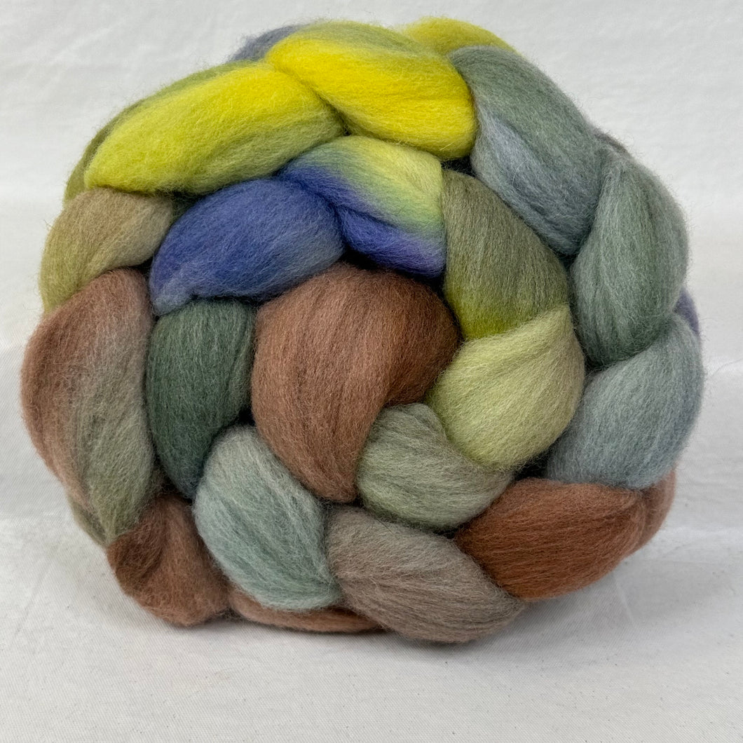 Hand Painted Fine Merino Top Braid 21 - Micron ~ Special Hand Painted ~ (G21M1) ~ By FairyTailSpun Fiber