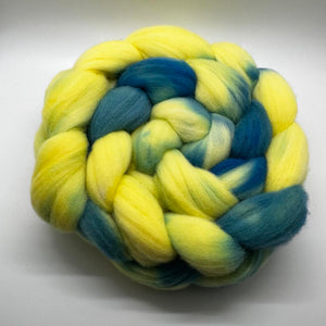 Rambouillet (French Merino) Wool Braid (Grbt31) ~ Hand Dyed By Fairytailspun Fiber 4 Oz