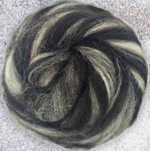 Jacob Wool ~ Humbug Natural White, Grey and Black Jacob Wool Top, 4 oz