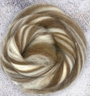 Shetland Wool ~ Humbug Natural White and Moorit Shetland Wool Top 4 oz