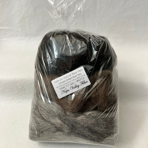 Icelandic Natural Wool Pack Fiber Tasting #NF12 / 7.7 oz