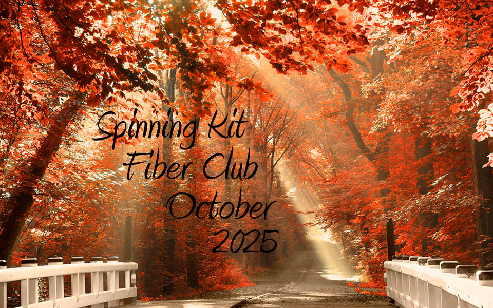 Fiber Club Napa Valley Fiber Spinning Club Kit