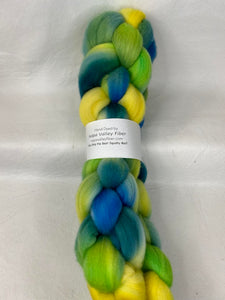 Polwarth Wool Top Braid (P32) ~ Hand Painted ~ 22 Micron