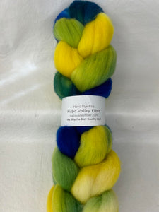 Polwarth Wool Top Braid (P42) ~ Hand Painted ~ 22 Micron