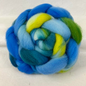 Sw Cheviot Wool Top Braid (Swct13) ~ Hand Dyed 4 Oz