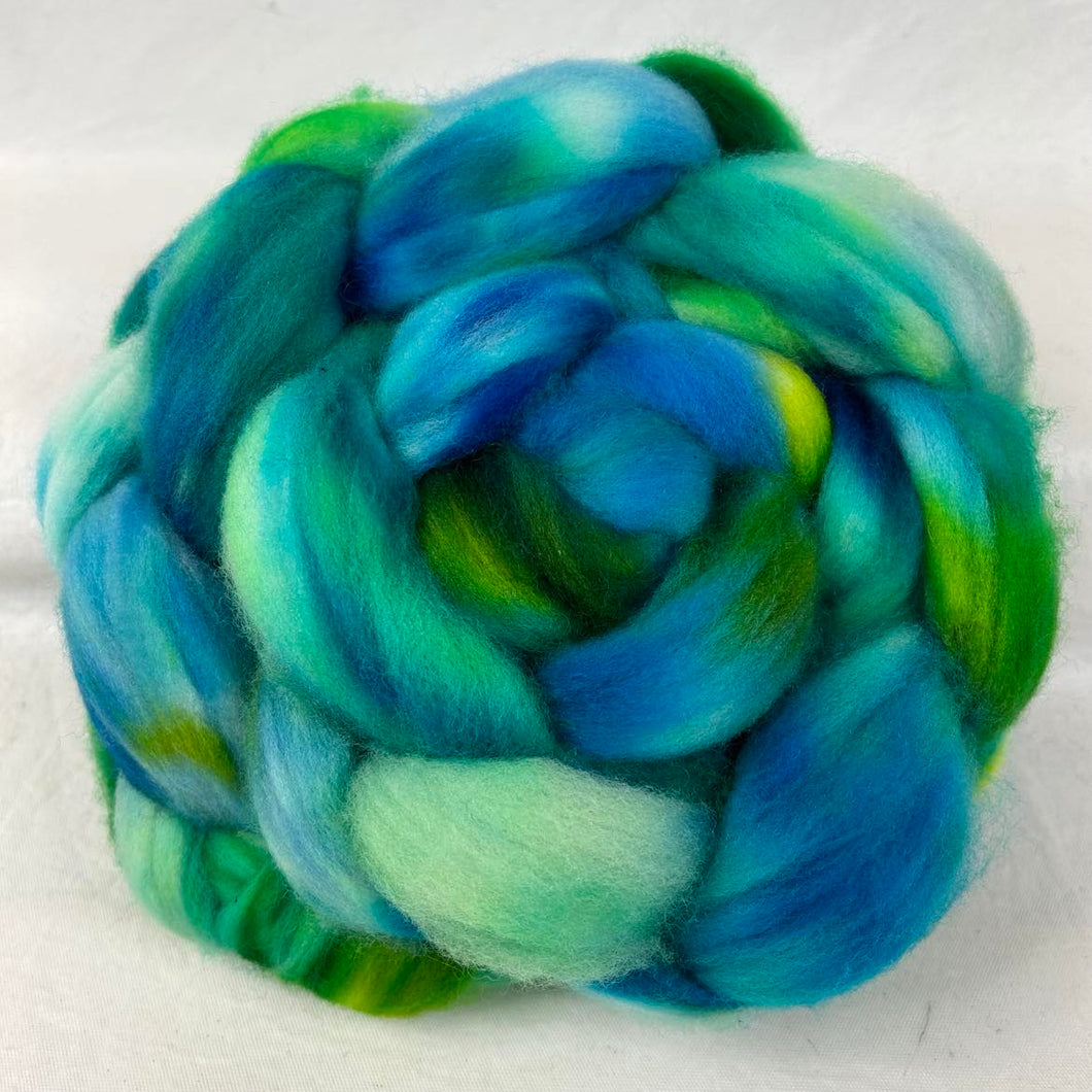 Sw Merino Wool Top Braid (Swm23) ~ Hand Painted 4 Oz