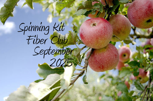 Fiber Club Napa Valley Fiber Spinning Club Kit