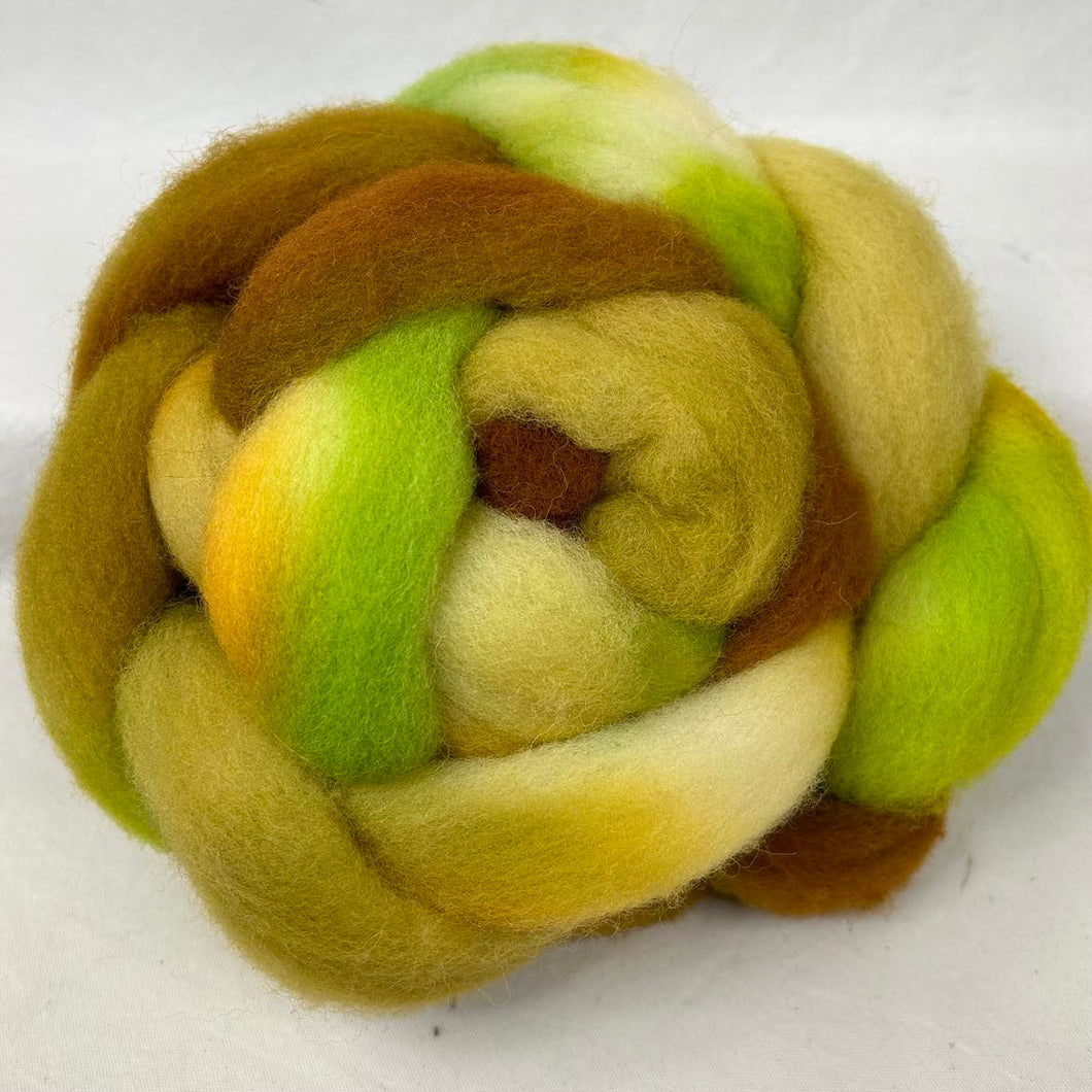 Shropshire Wool Top Braid (Sh17) ~ Hand Dyed 4 Oz