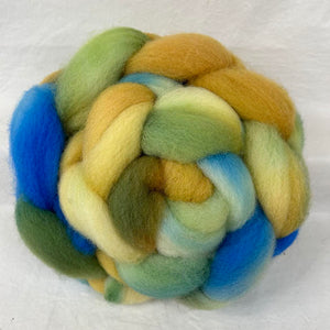 Shropshire Wool Top Braid (SH43) ~ Hand Dyed ~ 4 oz