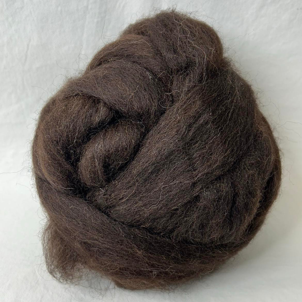 Zwartbles Natural Deep Brown Wool Top, 4 oz