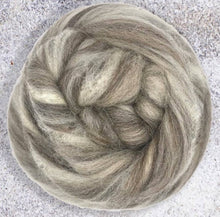 Bluefaced Leicester Mixed Wool Pack Fiber Tasting #FT8 / 5.6 oz Natural Fiber