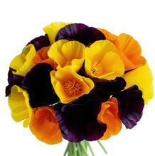 ’California Poppies!’ Premium Double Braid Spinning Kit Spinning Kit