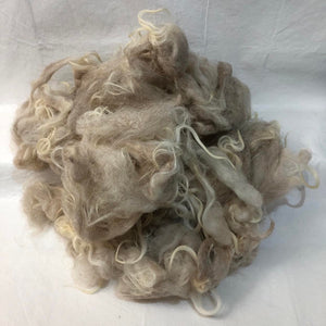 Navajo Churro ~ Clean fleece and locks, 4 oz