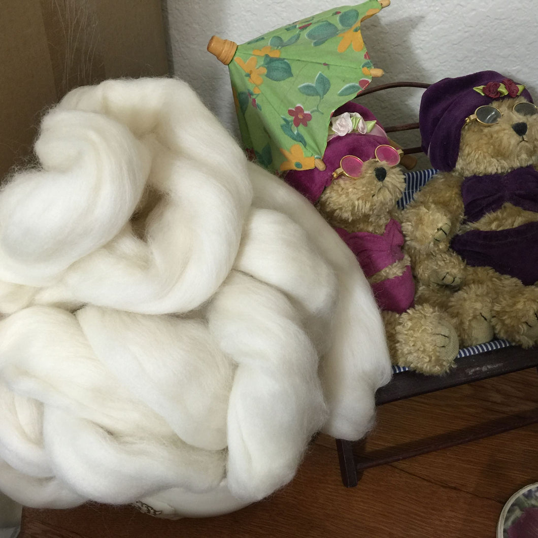 Polwarth Wool Top, Natural White, 22 Micron ~ Natural Spinning Fiber / 4 oz